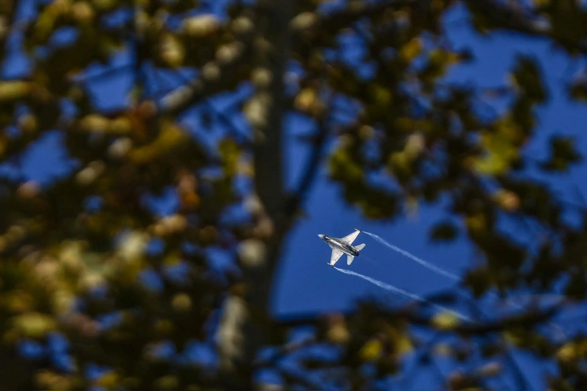 57231 192D3FC1 B045 4105 9D07 7E2FFA440743 1920x1440 1