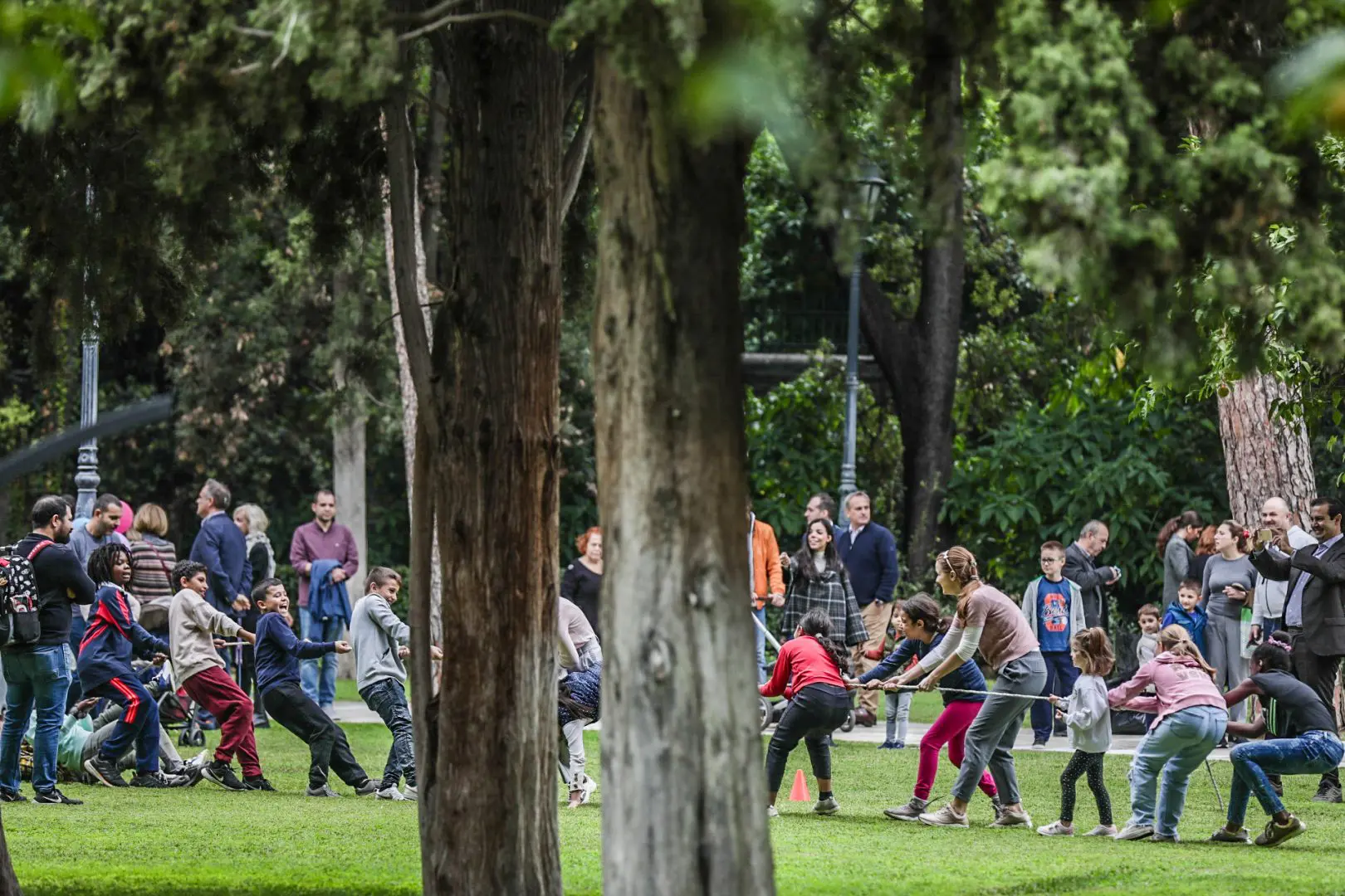 D5C5EC0E FB29 4BD5 A73D A8AD50DA2EB9