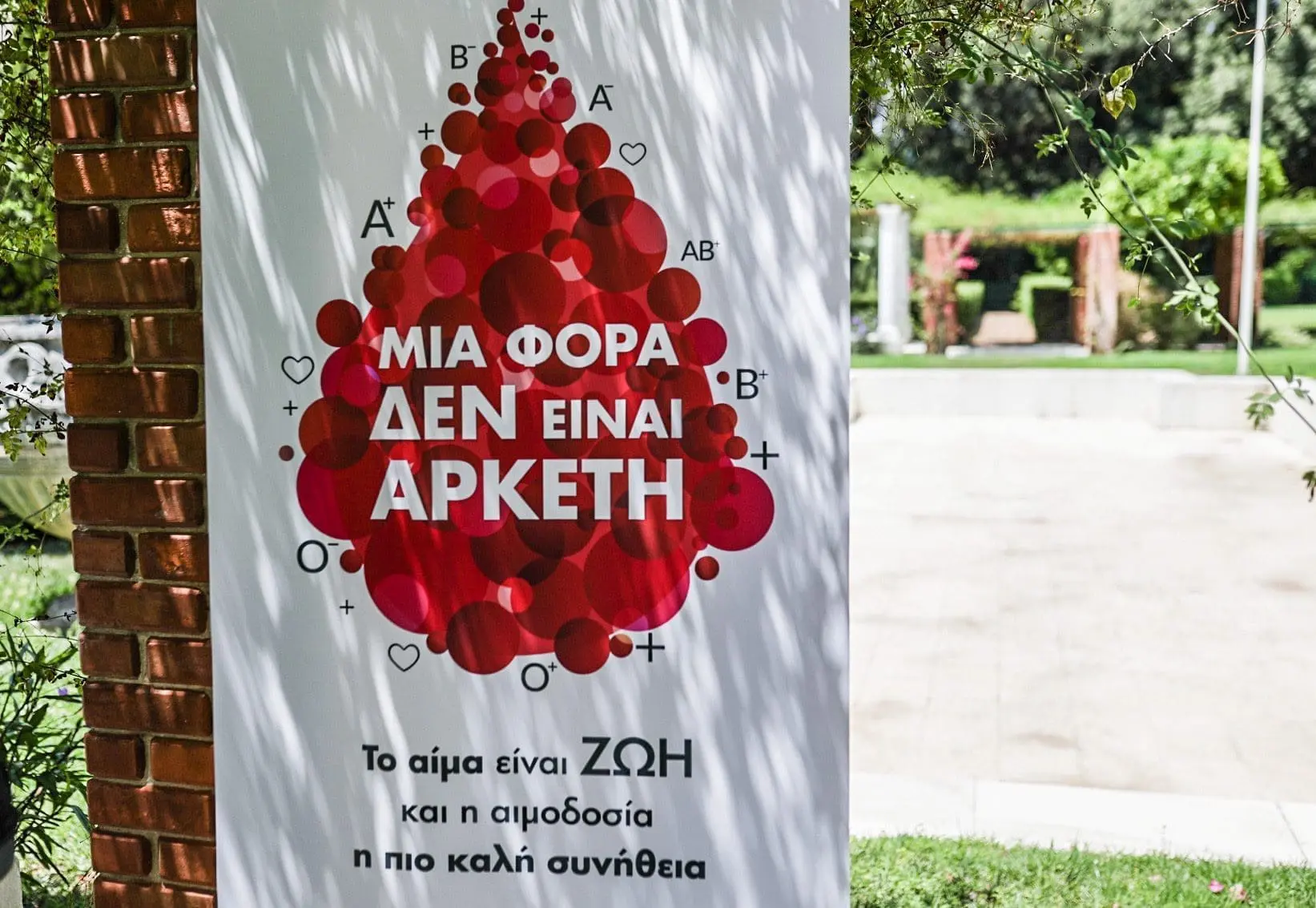 Δήλωση με αφορμή την Παγκόσμια Ημέρα Εθελοντή Αιμοδότη 1