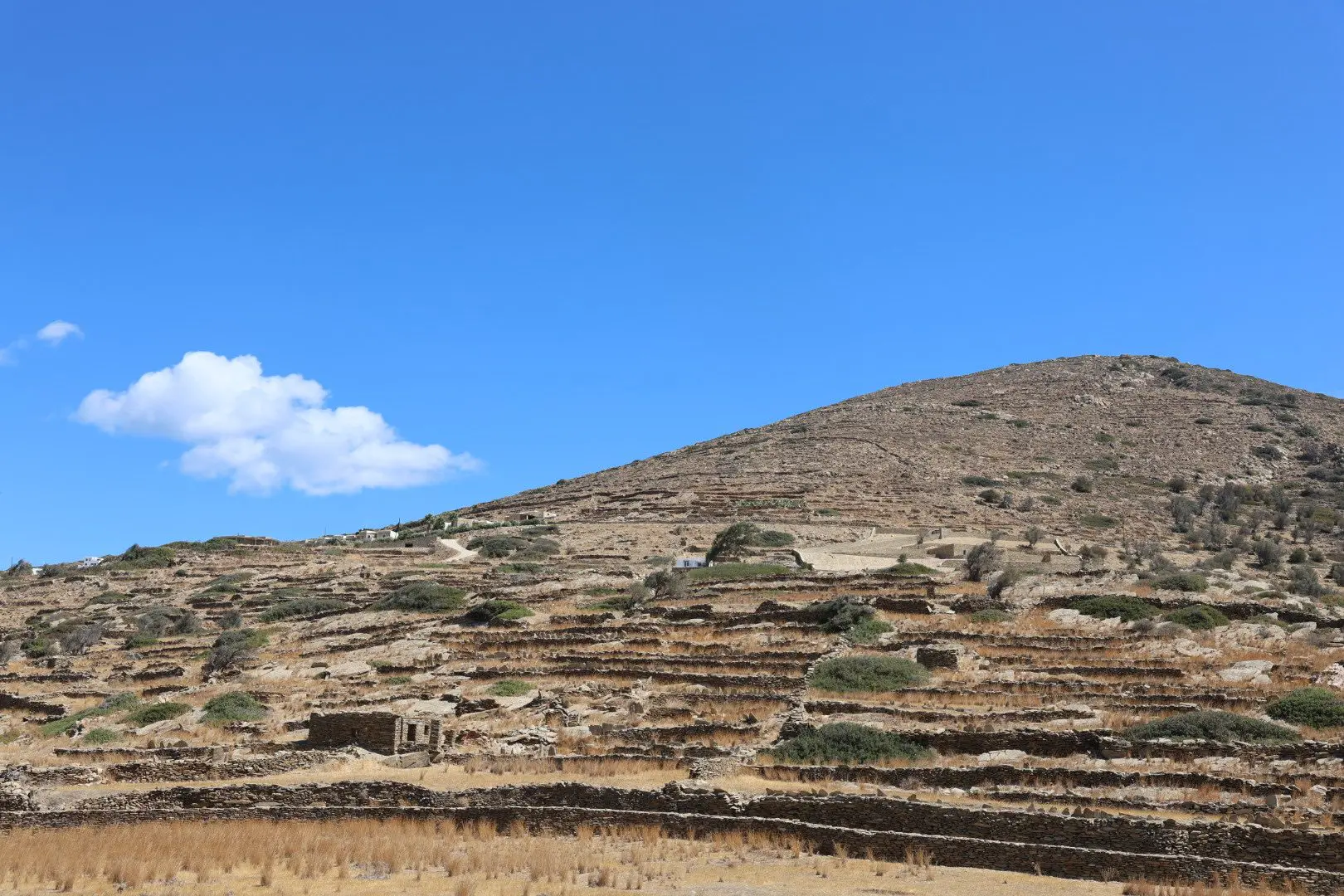Επίσκεψη στο Αρχαιολογικό Μουσείο Ίου και στον αρχαιολογικό χώρο του Σκάρκου 8
