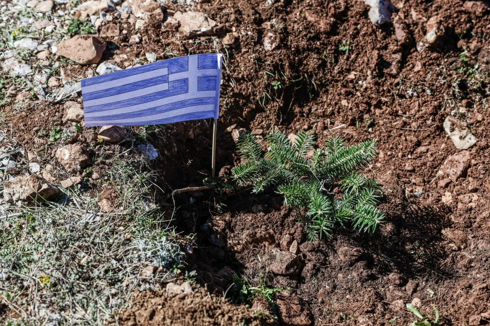 Σε συμβολική δενδροφύτευση στην Πάρνηθα με γυναίκες πρέσβεις διαπιστευμένες στην Ελλάδα με αφορμή τη Διεθνή Ημέρα Δασών 11